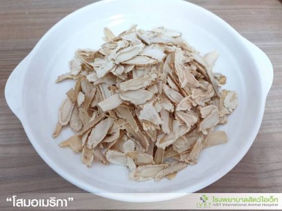 "โสมอเมริกา" กับการรักษาทางเลือก